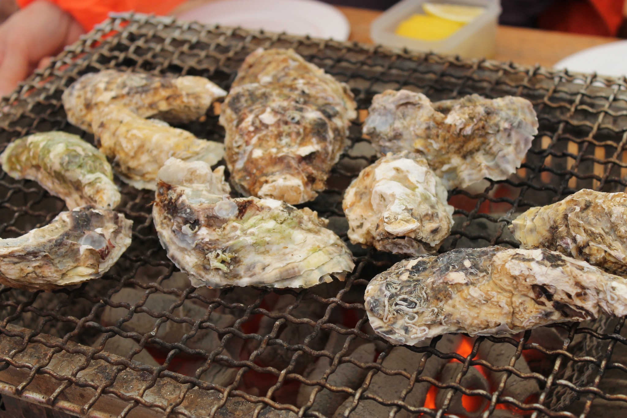 牡蠣小屋で焼いた牡蠣が美味すぎる！